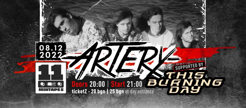 artery 33 years