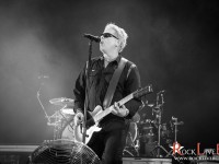 sofia rocks 0116
