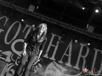 krf2014 02 057