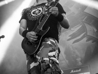 krf2014 02 089