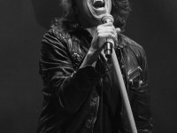 krf2014 01 099