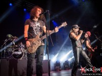 accept sofia 031