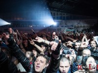 accept sofia 034
