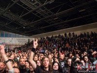 accept sofia 035