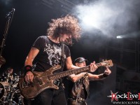accept sofia 036