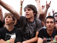 summerc paparoach 014