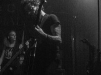 primordial 010