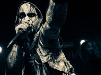 primordial 021