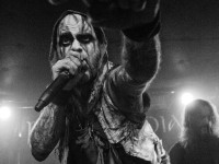 primordial 022