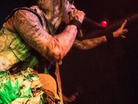 primordial 023