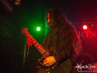 primordial 024