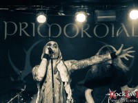 primordial 033
