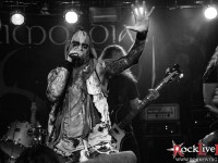 primordial 037