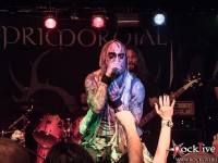 primordial 038