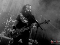 wolf fest1 40