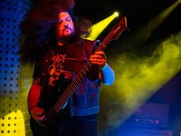 DSC 7429