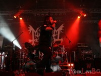 img 6140 venom