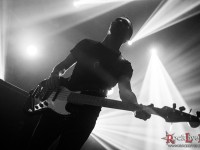 alcest 24