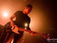 alcest 26