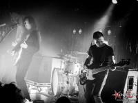 alcest 28