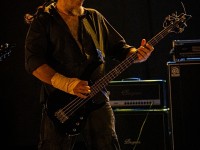 scapegoat 017