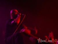 img 4447exumer