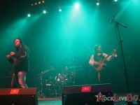 img 1339 stratovarius