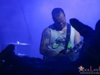 terror 043