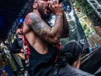 cavalera this burning day