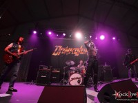 danko jones split dogs16