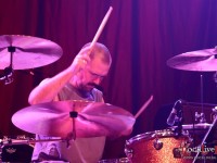 danko jones split dogs19
