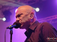 danko jones split dogs24