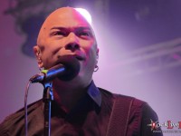 danko jones split dogs25