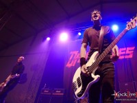 danko jones split dogs26