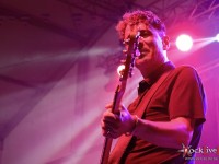 danko jones split dogs28