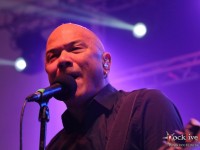 danko jones split dogs29