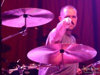 danko jones split dogs3