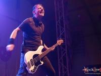 danko jones split dogs30