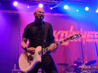 danko jones split dogs31