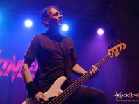 danko jones split dogs33