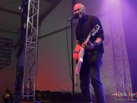danko jones split dogs34