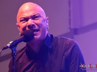 danko jones split dogs36