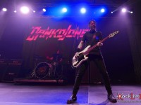 danko jones split dogs38