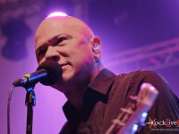 danko jones split dogs39