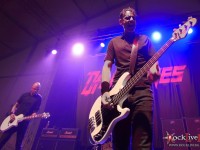 danko jones split dogs40