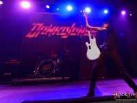 danko jones split dogs42
