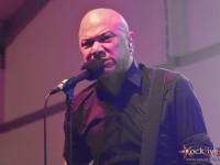 danko jones split dogs43