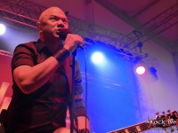 danko jones split dogs46