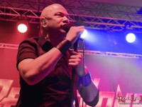 danko jones split dogs47
