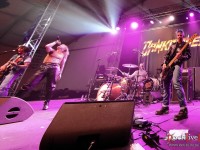 danko jones split dogs5